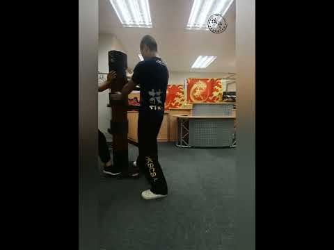 HKSCSA：香港詠春《詠春拳學初探 - 木人樁訓練班》
