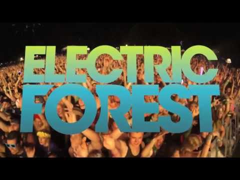 Electric Forest 2013 - Benny Benassi