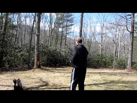 steyr spp 9mm (Special Purpose Pistol) (TMP/MP9 from call of duty)