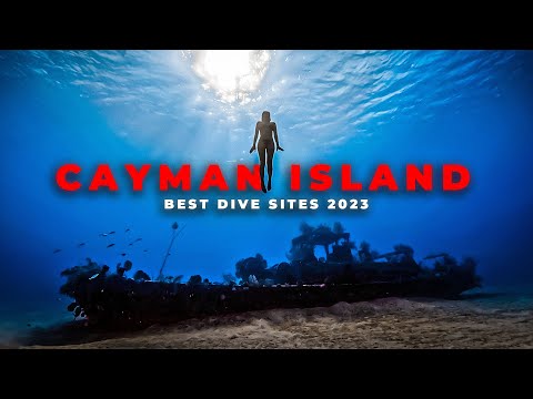 Best Dive Sites In The Cayman Islands - Top 20 For 2023