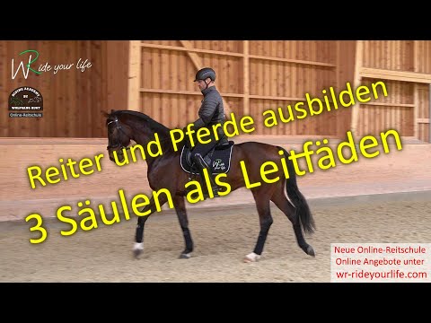 F156 For riders, trainers, judges: Learning to ride and training horses - Instructions based on 3...