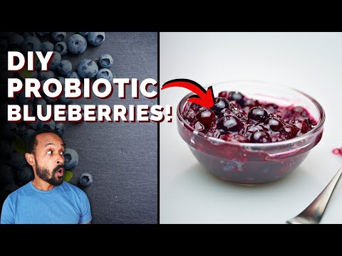 How to Make Gut Healthy Fermented Blueberries AT HOME in 7 Days!