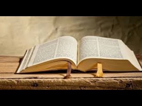 SCP #4 (expérience sur SCP-137-FR)