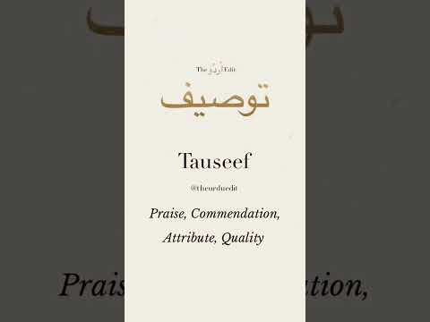 Tauseef NAME STATUS 🥀🥀🥀🥀🥀🥀