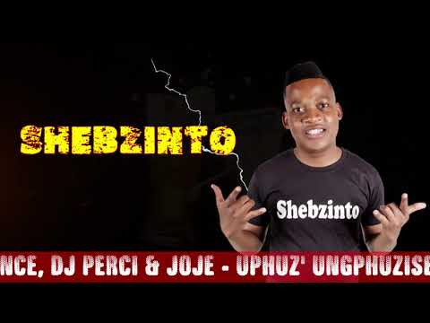 Mr Dee Ft Shebzinto, Mbuda'Prince, DJ Perci & Joejo - Uphuz Ungphuzise (Song download link below)