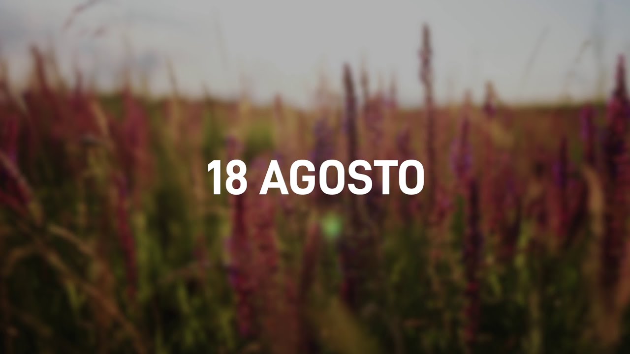 18 Agosto 2025 | Meditazione Parole di Vita