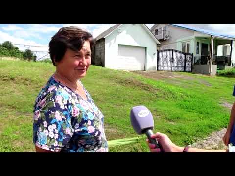 Жители Дмитриевского района жалуются на обилие борщевика