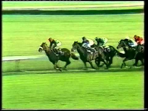 1982 Trusthouse Forte Prix de l'Arc de Triomphe