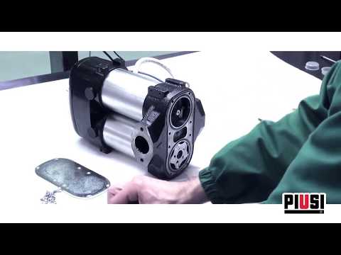 Piusi Bi Pump Vanes Pump Parts From The Official Piusi CTS Piusi Bi Pump Vanes Pump Parts From The Official Piusi CTS