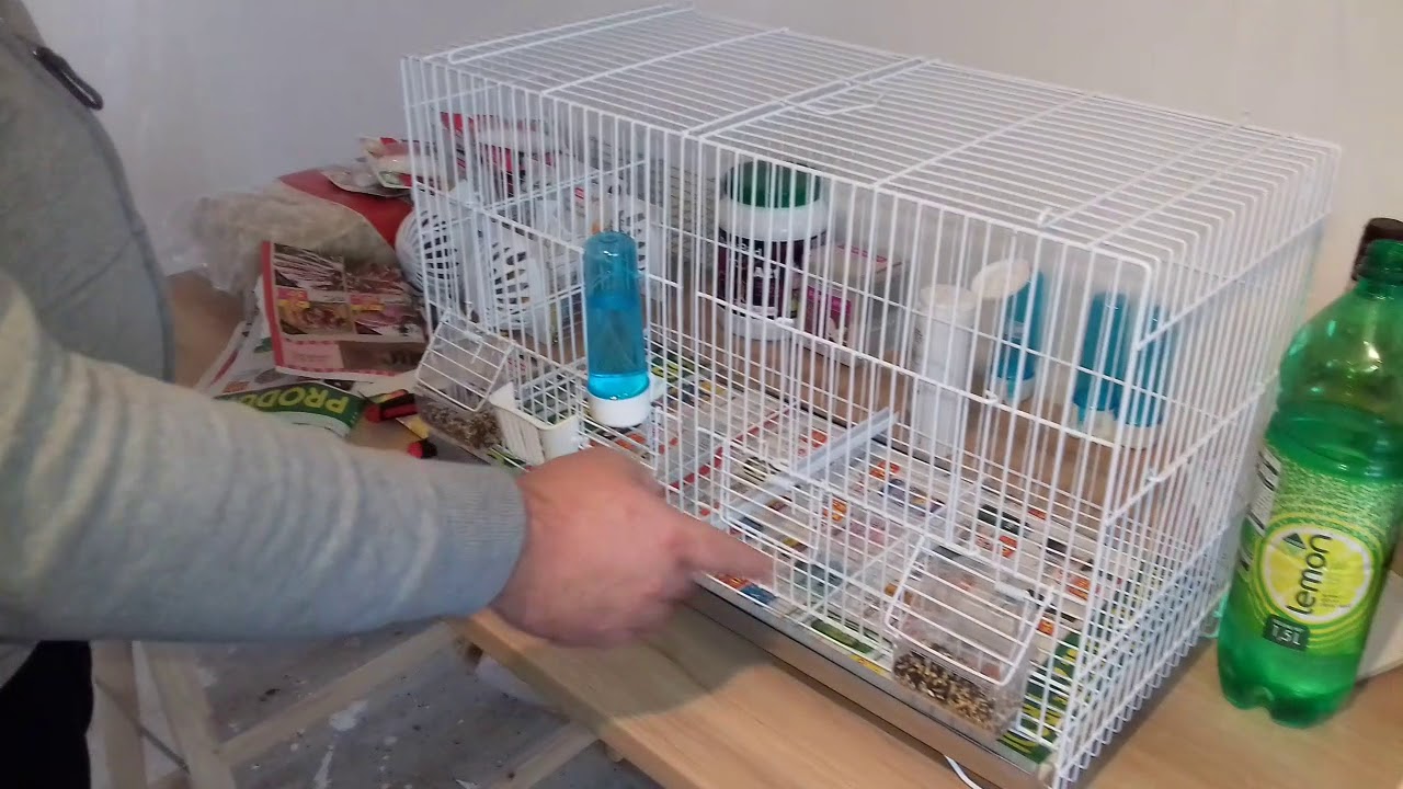 Installation de mes nouvelles cages