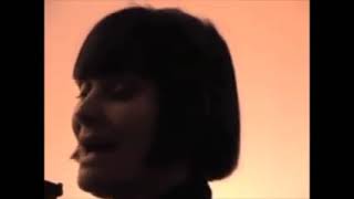 Mama Didn't Raise No Fool Lyrics Spanish Translation