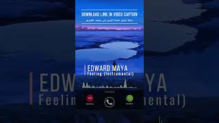 Edward Maya - Feeling (Instrumental)