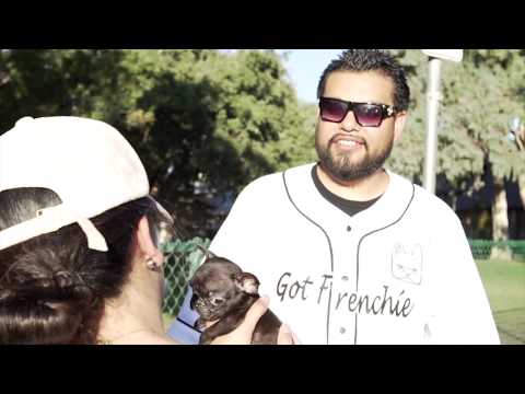 Gotfrenchie Giveaway