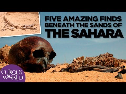 5 Fascinating Scientific Findings In the Sahara Desert