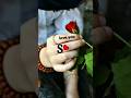 S Name Love Status S Name Status ️ Shorts Viral Love New Short