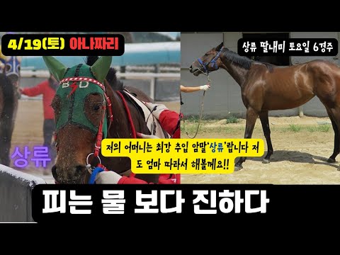 4/19 토요-윤택-경마 아나짜리 곳곳에 숨겨진 진짜 메가톤급 펀치