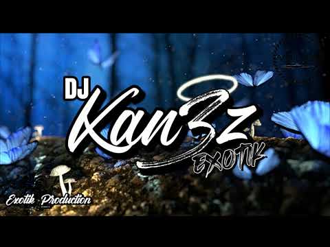 DRIKS X DJ KAN3Z - Fait le [KOMPA REMIX 2020]