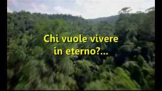 Who Wants To Live Forever - Queen + Traduzione