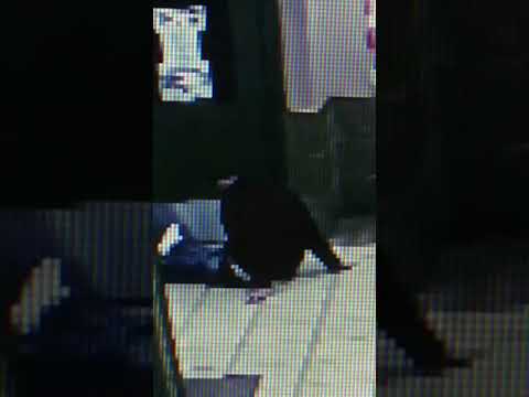 night shift at the wheeling inn