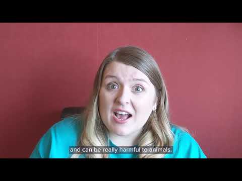 Curious About: Innovation - Marvellous Materials