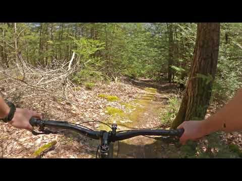 MTB - Link Trail to Seven Ridges - Leadmine Conservation Area