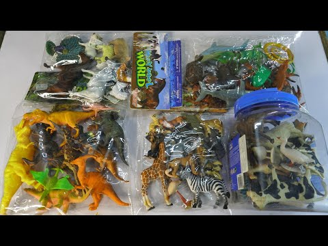 sea animals+ entertainment 13+ dinosaur horse tiger lion zebra cow  deer snow leopard. Animals Demo
