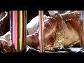 Priyanka Trivedi Hot 1