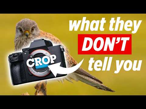 Crop vs Full Frame Sensor - Watch Before You Buy!
