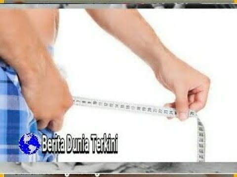 Seperti peterseli untuk potensi Jadi itu potensi yang baik
