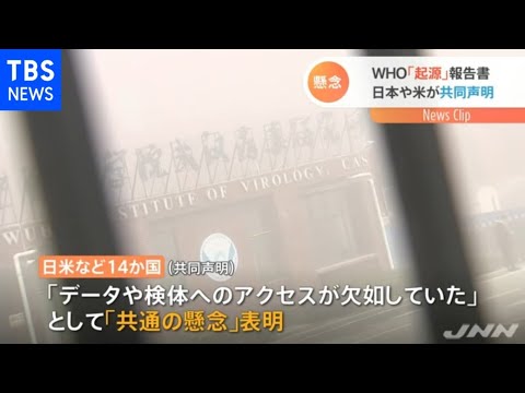 コロナウイルスの起源:研究者らが病原体の経路を説明