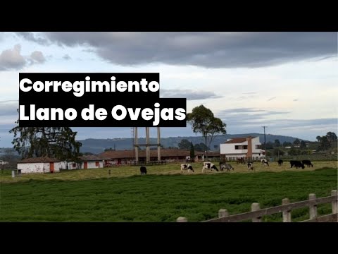 Viento frío en la carretera | Corregimiento Llano de Ovejas | San Pedro de Los Milagros, Antioquia
