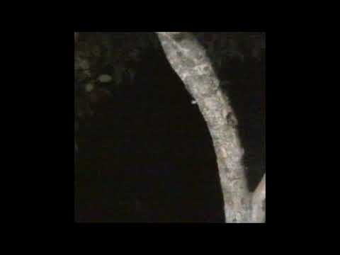 78. project luna & biocide - nightshade [07.10.2019]