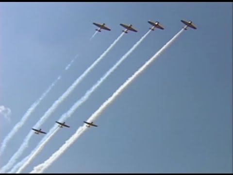 RCAF Harvards, T-6 Texans, and Naval SNJ's Formation Flyby