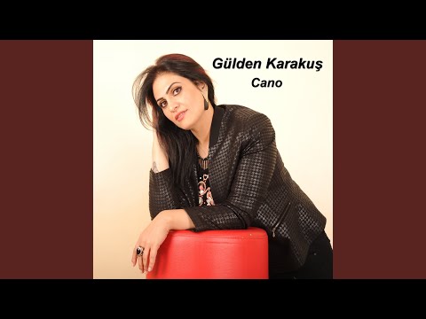 Video Yükleniyor...