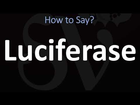 How to Pronounce Luciferase? (CORRECTLY)