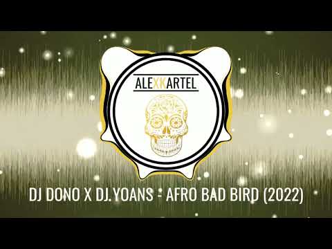 |AFRO| DJ DONO X DJ YOANS - AFRO BAD BIRD (2022)