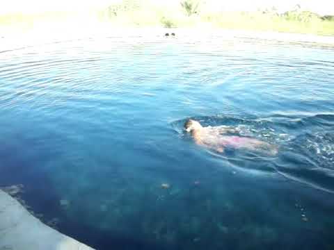 Susan Boyle Semi Final *EXTENDED EDITION* - Britain's Got Talent - (FULL HD QUALITY