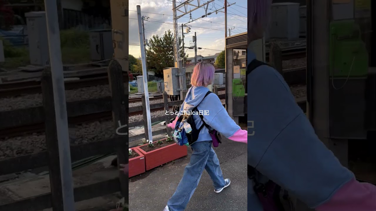 小田急線🚃富水 とっとこhalca日記  -鉄道シリーズ113-