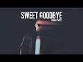 Robin Schulz - Sweet Goodbye (Slowed + Reverb)