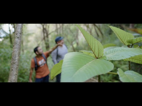 More on Olonā | Studia Mirabilium