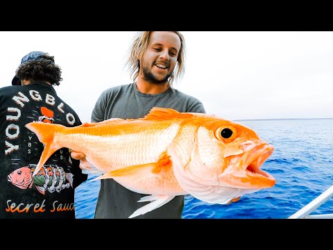DEEP SEA FISHING For Giant Gold Fish (Part 2) - Ep 204