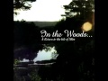 In the woods... - Wotan's Return (Demo) 