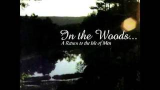 In the woods... - Wotan's Return (Demo)