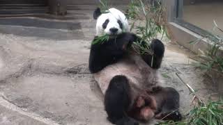 お部屋でのひととき