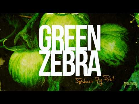 Panik - Green Zebra - instrumental - Molemen Records 2013 - free download