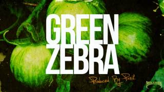 Panik - Green Zebra - instrumental - Molemen Records 2013 - free download