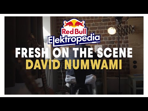 Fresh On the Scene: David Numwami