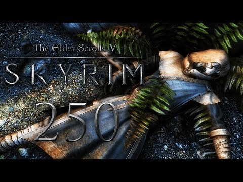 SKYRIM #250 📜 Friendly Fire! | Let's Play The Elder Scrolls V: Skyrim [German/Deutsch][Gameplay]