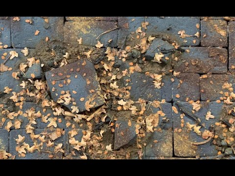 Tutorial Trailer - TheTerrainStudio - Patreon October Content