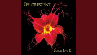 All up in the Air (Live)